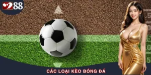 Hướng Dẫn Các Loại Kèo Bóng Đá Từ A-Z Cho Người Mới Bắt Đầu