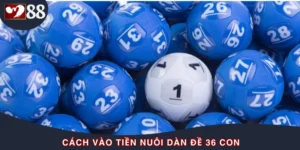 Cách Vào Tiền Nuôi Dàn Đề 36 Con Chỉ Có Lời Chứ Không Lỗ