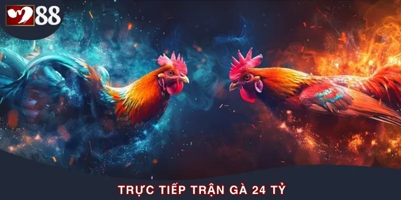Sức Nóng Từ Trực Tiếp Trận Gà 24 Tỷ - Sự Kiện Có Thật